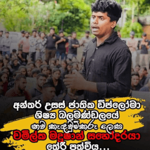 Description of the photo