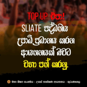 Description of the photo