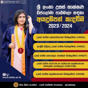 Description of the photo